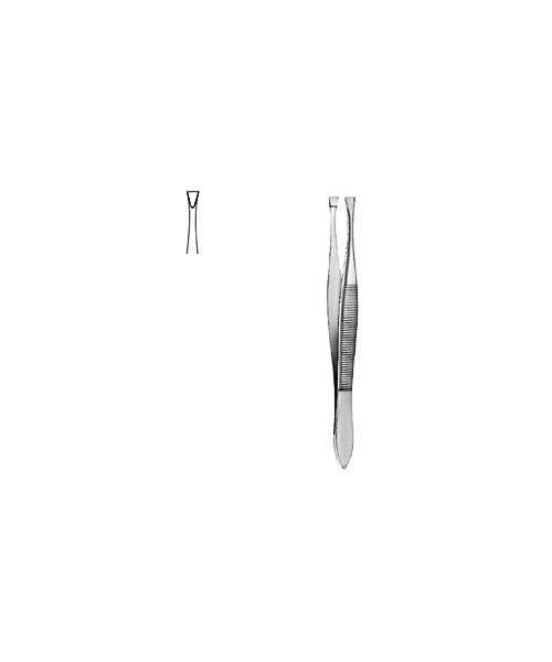 Cilia Forceps